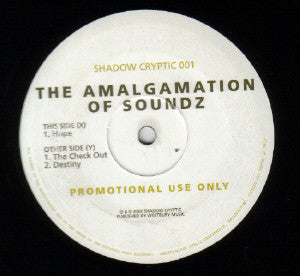 The Amalgamation Of Soundz - Hope (12", Promo)