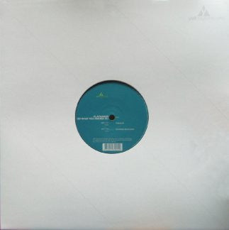 Playmaker - Do What You Wanna Do (12")