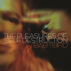Babybird - The Pleasures Of Self Destruction (CD, Album, Dig)