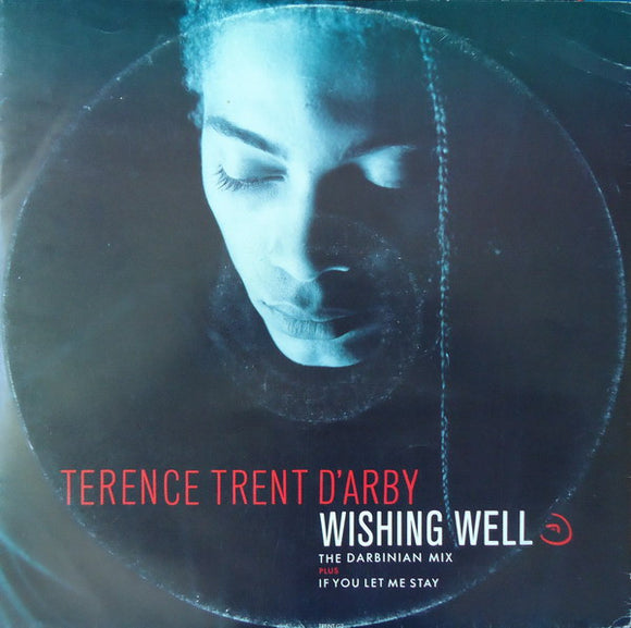 Terence Trent D'Arby - Wishing Well (The Darbinian Mix) (12
