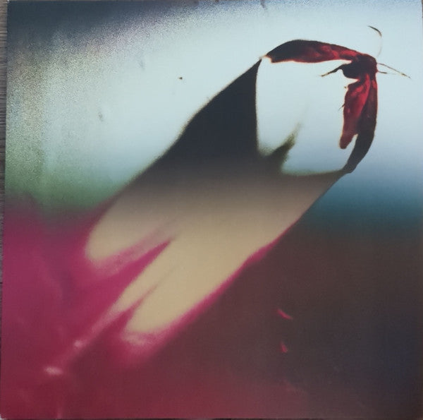Scowl (4) - Are We All Angels (LP, Album, Ltd, Oli)