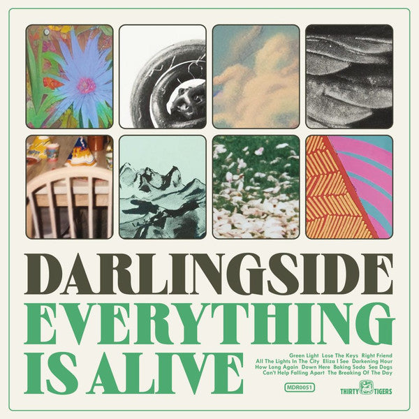 Darlingside - Everything Is Alive (LP, Album)