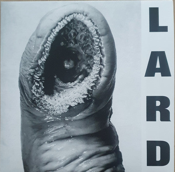Lard - Power Of Lard EP (12", EP, RE, RM, Whi)