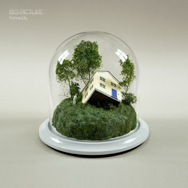 Fenne Lily - Big Picture (LP, Album)