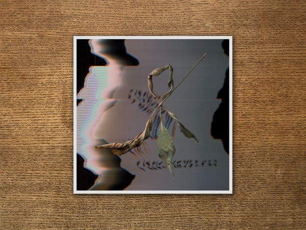 T. Gowdy - Trill Scan (LP, Ltd)