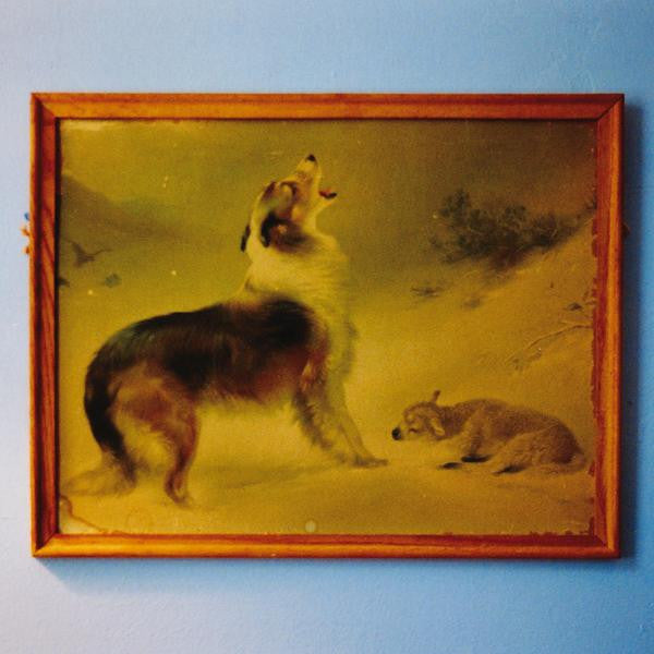 Explosions In The Sky - The Rescue (LP, EP, RE, RM)