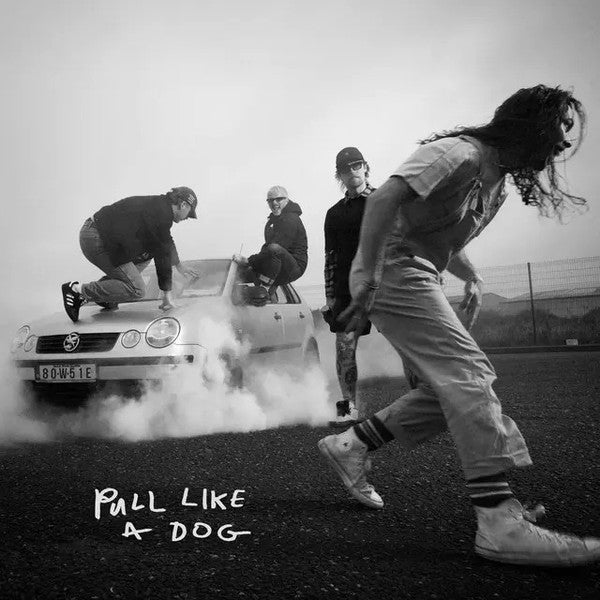 The Scratch - Pull Like A Dog (CD, Album)