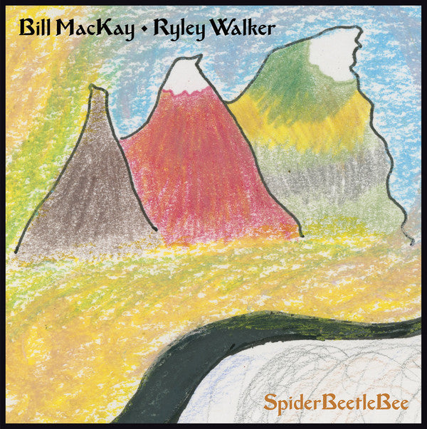 Bill MacKay, Ryley Walker - SpiderBeetleBee (LP, Album)