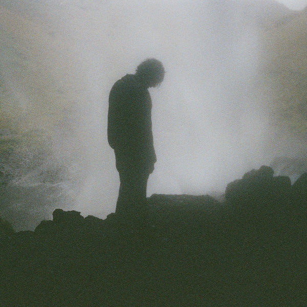 Palmistry - Afterlife (LP, Album)