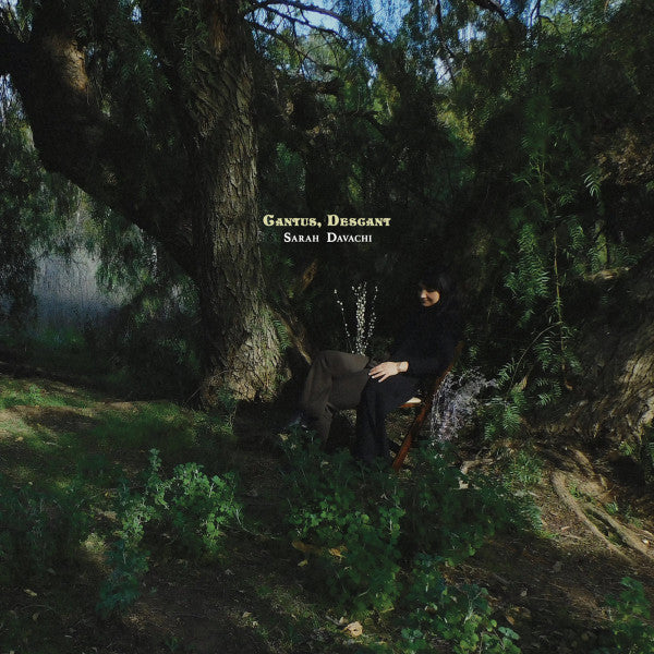 Sarah Davachi - Cantus, Descant (2xLP, Album)