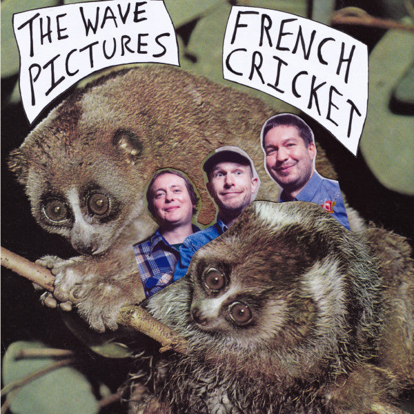 The Wave Pictures - French Cricket (2x7", Single)