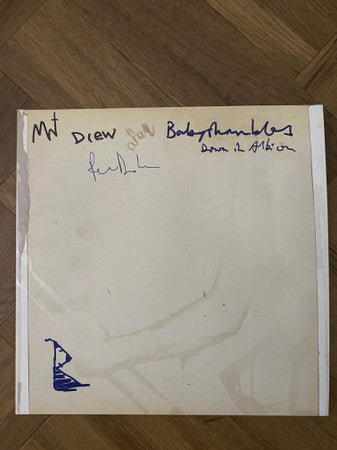Babyshambles - Down In Albion (LP, Album)