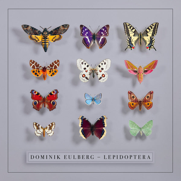 Dominik Eulberg - Lepidoptera (CD, Album)