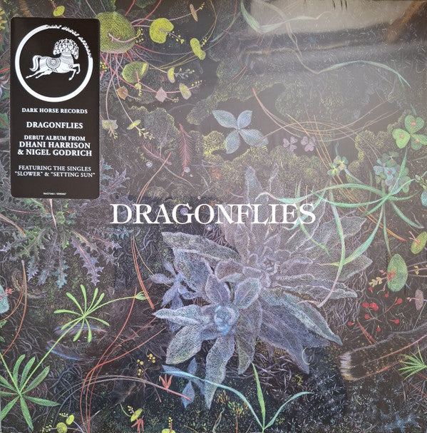 Dragonflies (5) - Dragonflies (LP, Album)