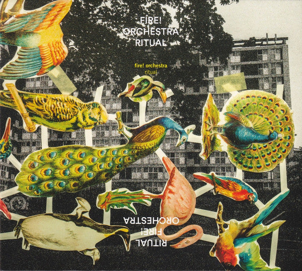 Fire! Orchestra - Ritual (CD, Album)