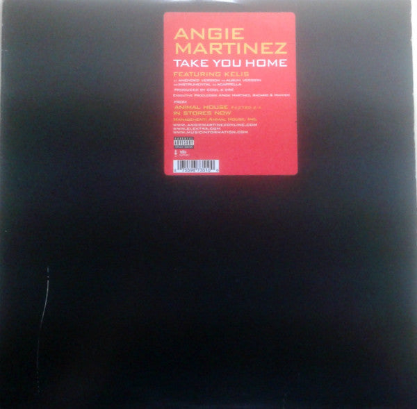 Angie Martinez - Take You Home (12")