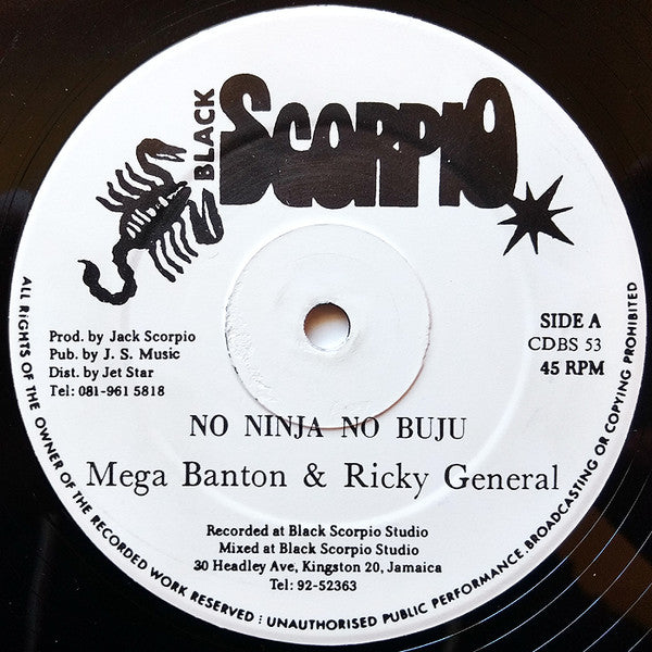 Mega Banton & Ricky General - No Ninja No Buju (12")