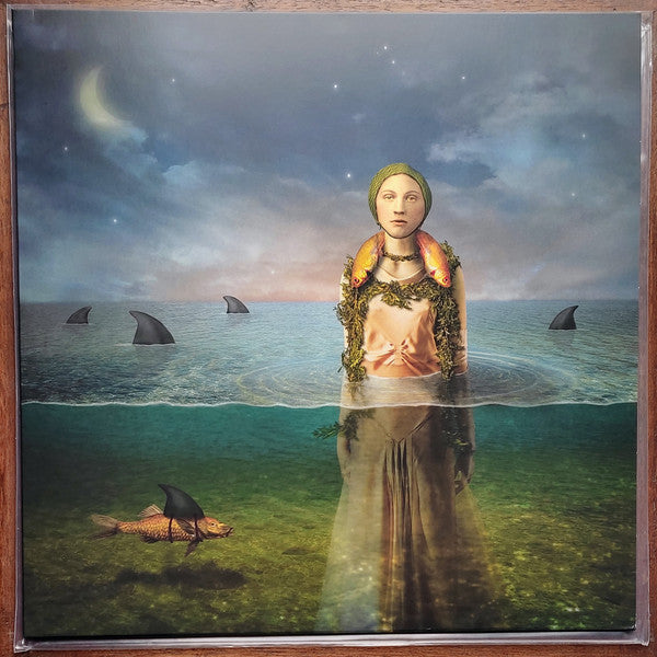 The Bled - Found In The Flood (LP, Album, Ltd, Num, RP, Blu)