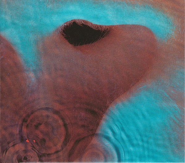Pink Floyd - Meddle (CD, Album, RE, RM, Dig)