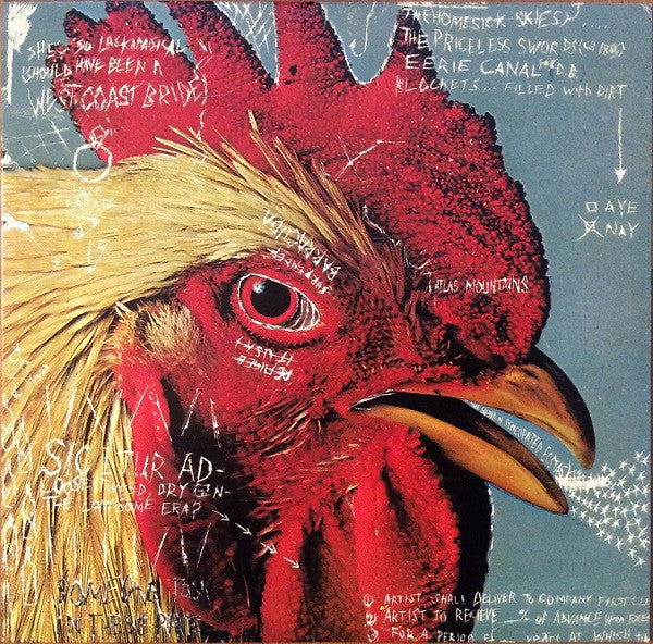 Pavement - Watery, Domestic (12", EP, RE)