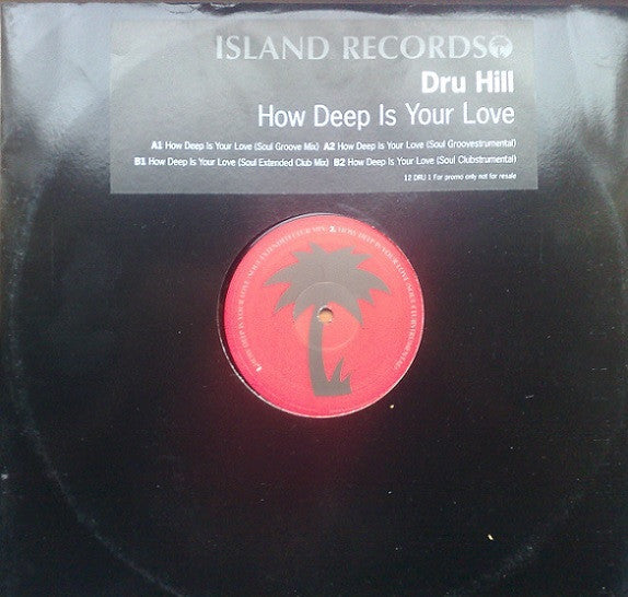 Dru Hill - How Deep Is Your Love (12", Promo)