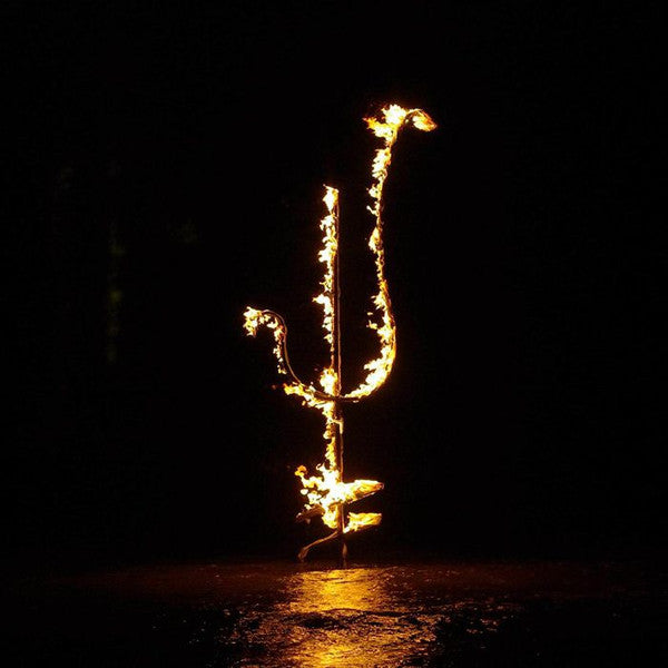 Demon Head - Hellfire Ocean Void (CD, Album, Dig)