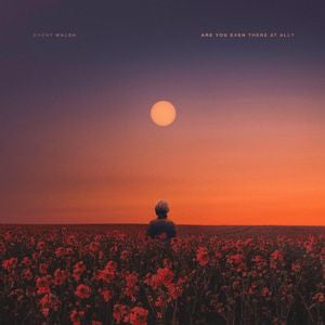 Brent Walsh - Are You Even There At All? (CD, Album)