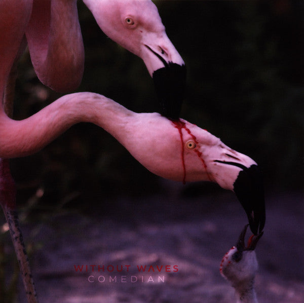 Without Waves - Comedian (2xLP, Album, Ltd, Pin)