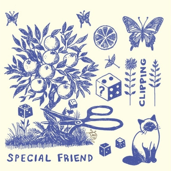 Special Friend - Clipping (LP, Album, Ltd)