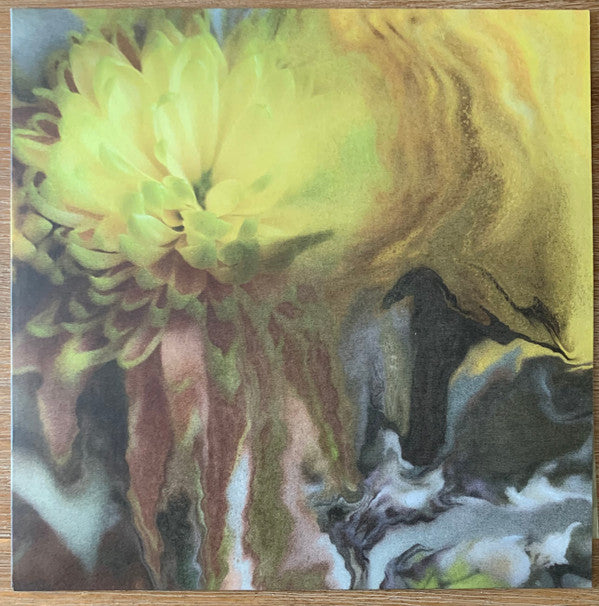 Parker Millsap - Wilderness Within You (LP, Album)