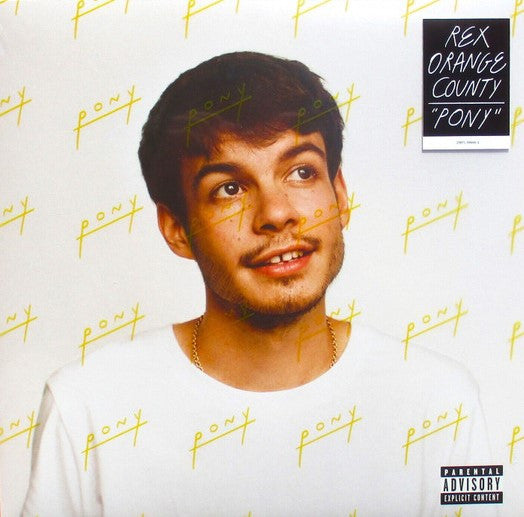 Rex Orange County - Pony (LP, Album)
