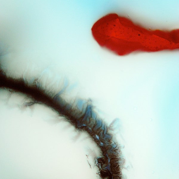 Stubborn Heart - Stubborn Heart (LP, Album)