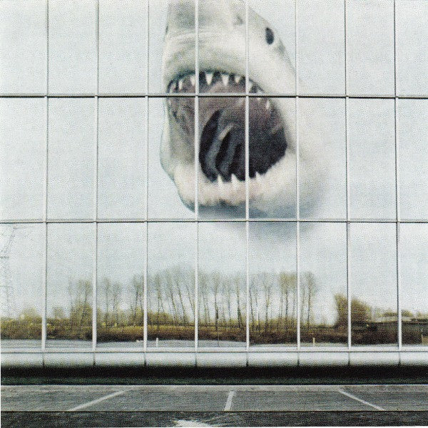 Black Mountain - Wilderness Heart (CD, Album, Jew)