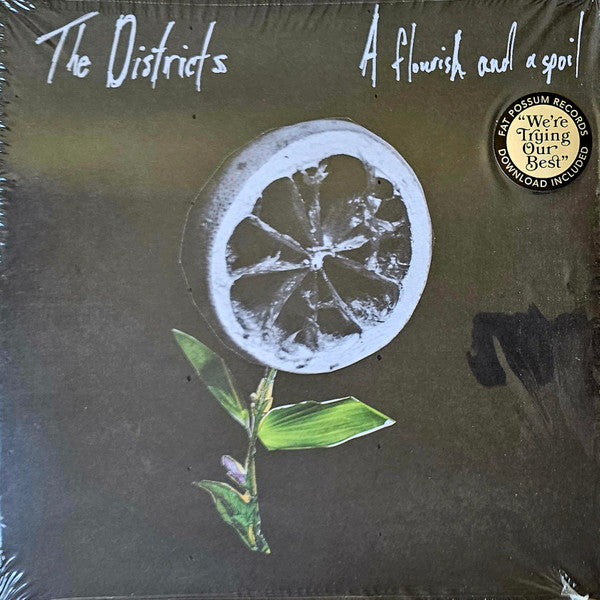 The Districts (3) - A Flourish And A Spoil (LP, Album)