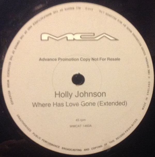 Holly Johnson - Where Has Love Gone? (12", Promo)