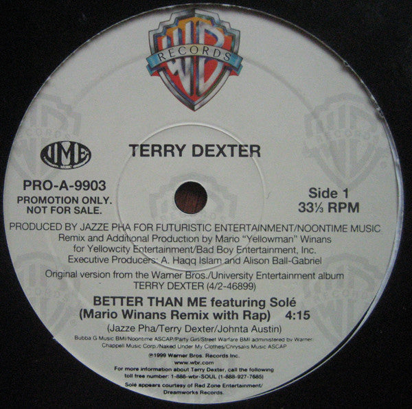 Terry Dexter Featuring Solé - Better Than Me (12", Promo)