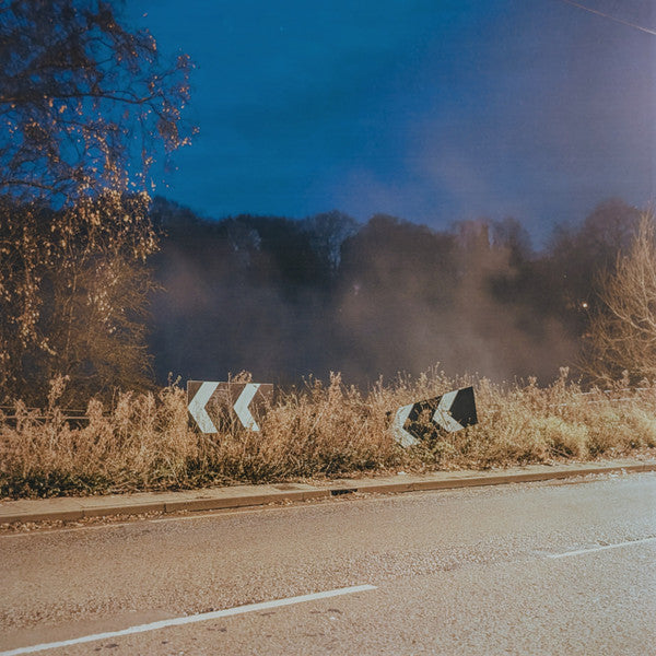 Lee Gamble - Models (LP, Cle)