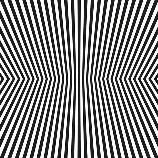 The Vacant Lots - Damage Control (CD, Comp)