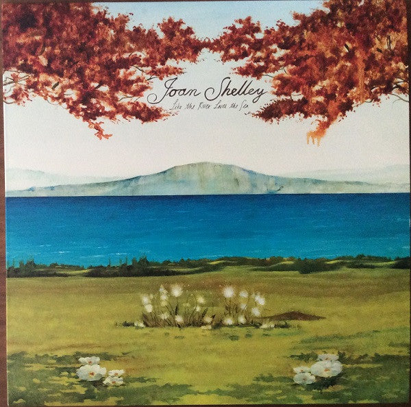 Joan Shelley - Like The River Loves The Sea (LP, Album)