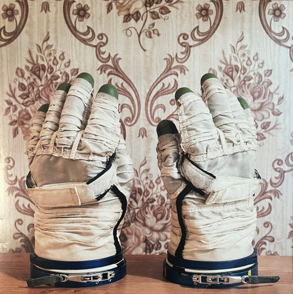 Stephan Mathieu, David Sylvian - Wandermüde (2xLP, RE, RM, Cle)