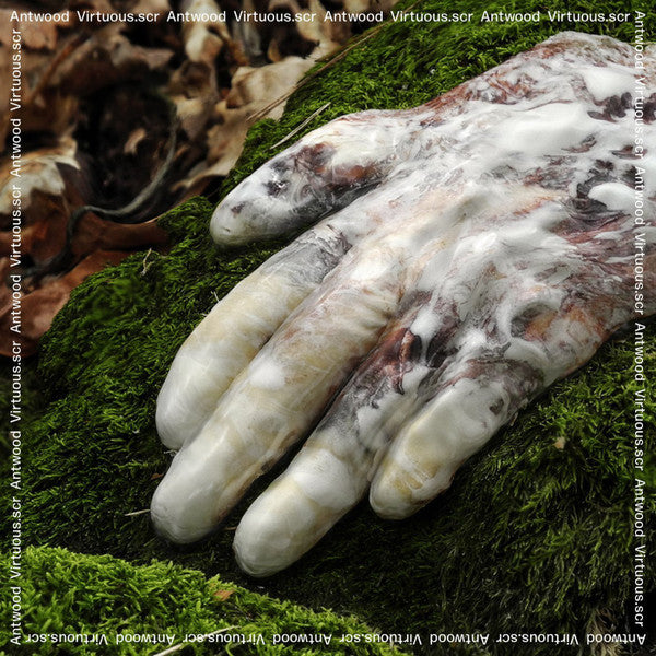 Antwood* - Virtuous.scr (CD, Album)