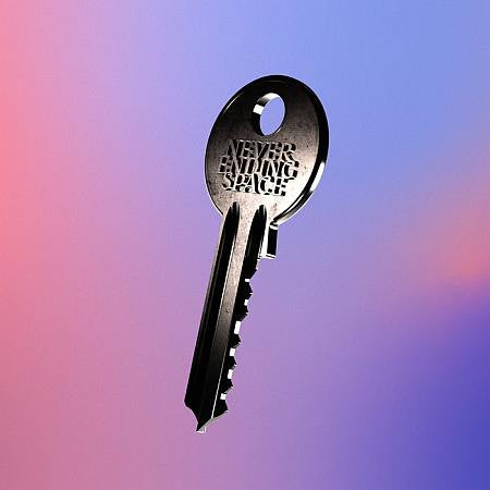 Chain Of Flowers - Never Ending Space (CD, Album)