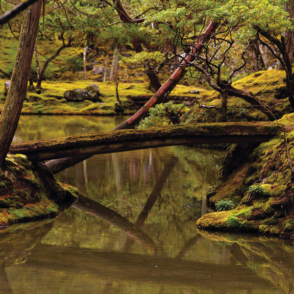 Rebecca Foon, Aliayta Foon-Dancoes - Reverie (CD, Album)