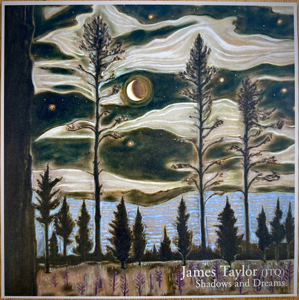 James Taylor - Shadows and Dreams (LP, Album)