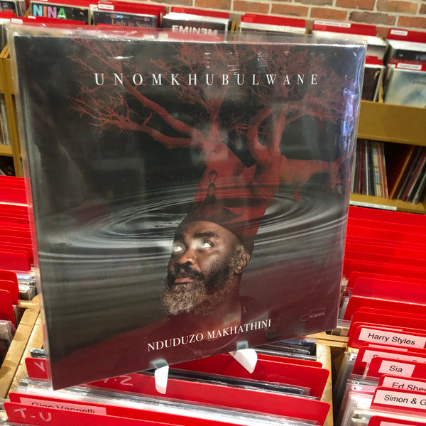 Nduduzo Makhathini - Unomkhubulwane (2xLP, Album)