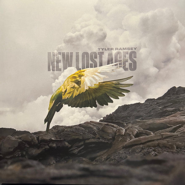 Tyler Ramsey - New Lost Ages (LP, Album, Gra)