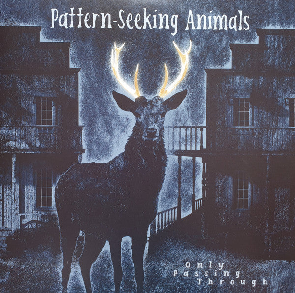 Pattern-Seeking Animals - Only Passing Through (LP + LP, S/Sided, Etch + Album + CD, Album)