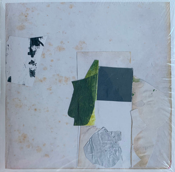 Claire Rousay - Everything Perfect Is Already Here (LP, Album)