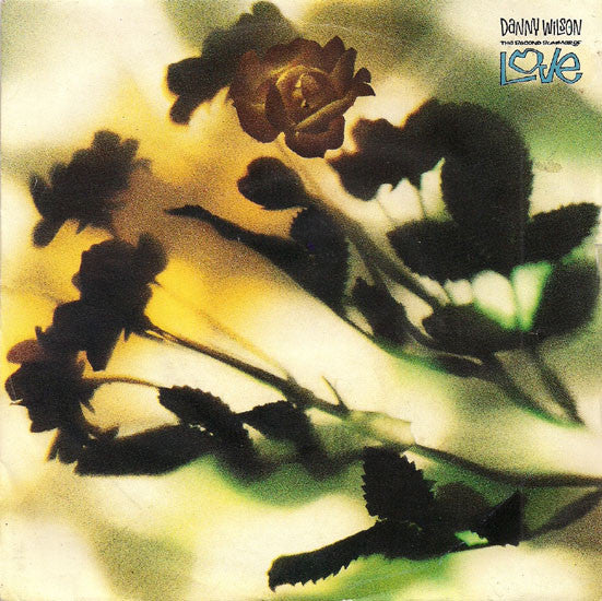 Danny Wilson (2) - The Second Summer Of Love (7", Single, Sil)