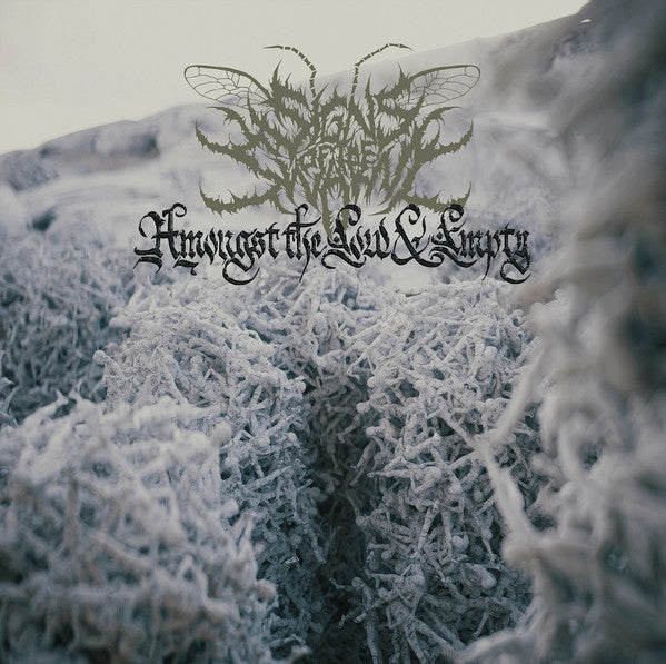 Signs Of The Swarm - Amongst The Low & Empty (CD, Album)